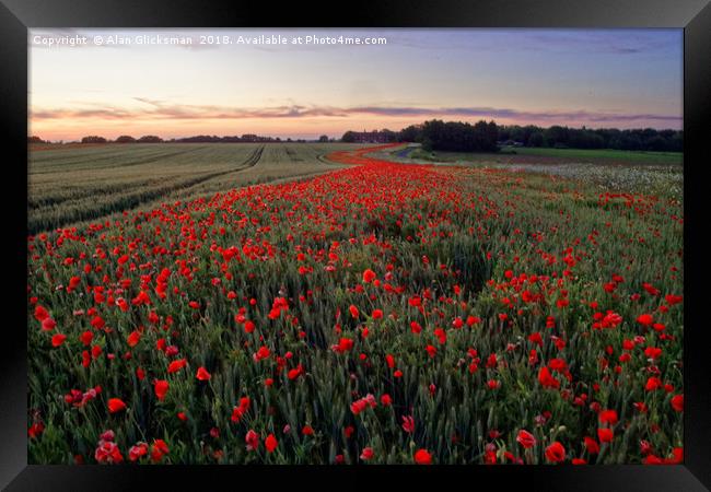 A field of poppy's          Framed Print by Alan Glicksman