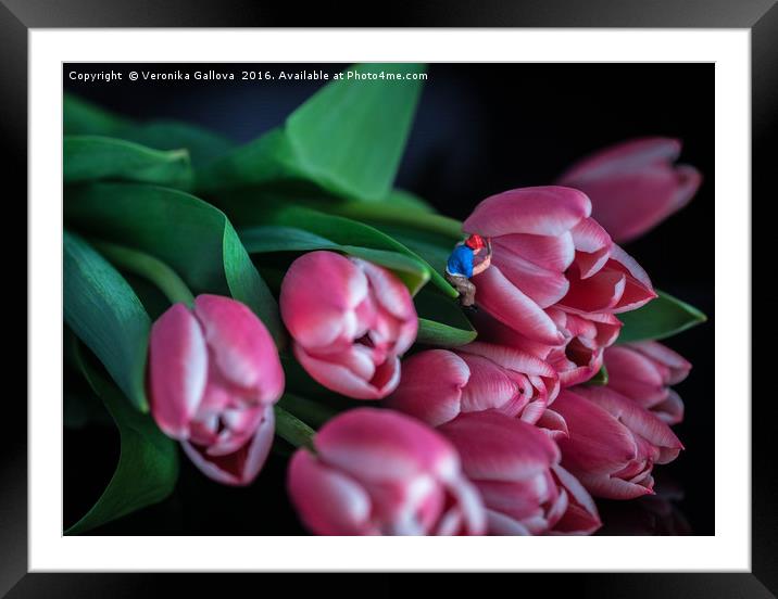 Painting the tulips Framed Mounted Print by Veronika Gallova