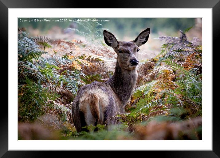  In the bracken Framed Mounted Print by Kish Woolmore