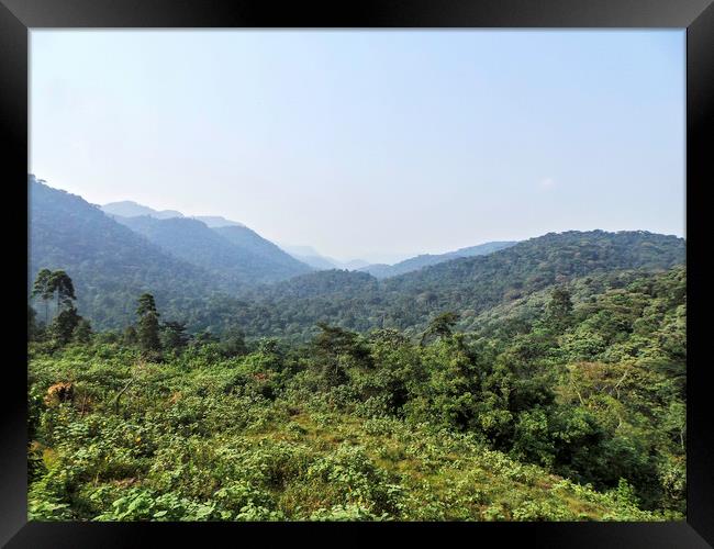 Bwindi Impenetrable Rainforest - Uganda Framed Print by Matthew Hill