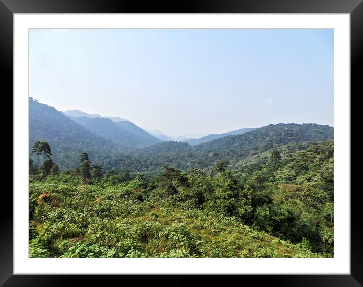 Bwindi Impenetrable Rainforest - Uganda Framed Mounted Print by Matthew Hill