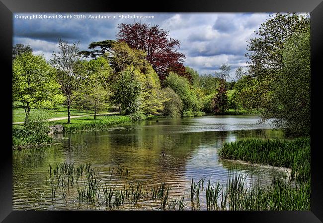  The Beauty of Blenheim Framed Print by David Smith