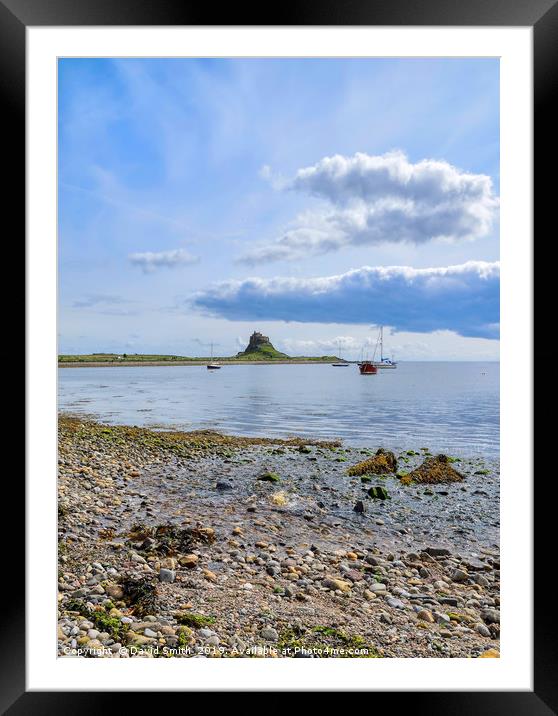 Lindisfarne Castle from across the harbour Framed Mounted Print by David Smith