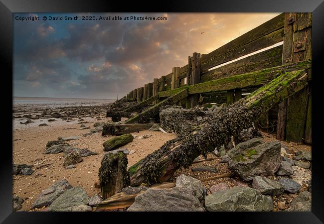 Groynes At Low Tide Framed Print by David Smith