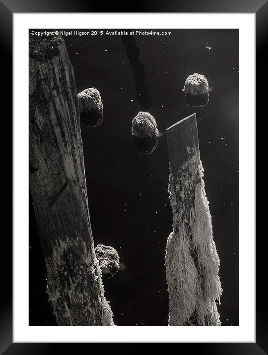  Interstellar pier piles Framed Mounted Print by Nigel Higson