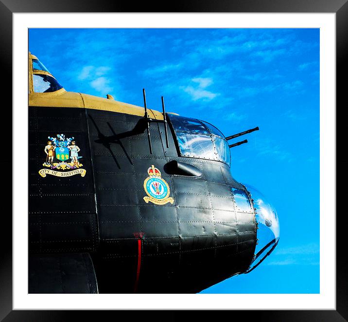  Just Jane just waiting to fly Framed Mounted Print by Stephen Ward
