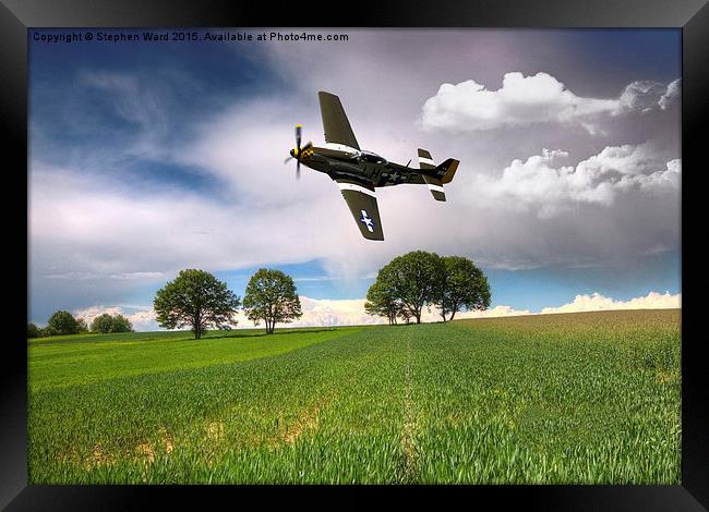  Buzzing the fields Framed Print by Stephen Ward