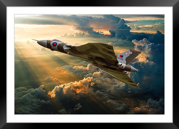  Majestic Flight Framed Mounted Print by Stephen Ward