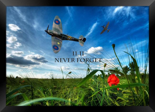 Never forget Framed Print by Stephen Ward