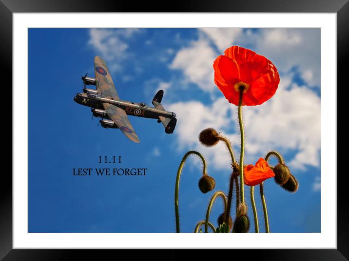 We will Remember Framed Mounted Print by Stephen Ward