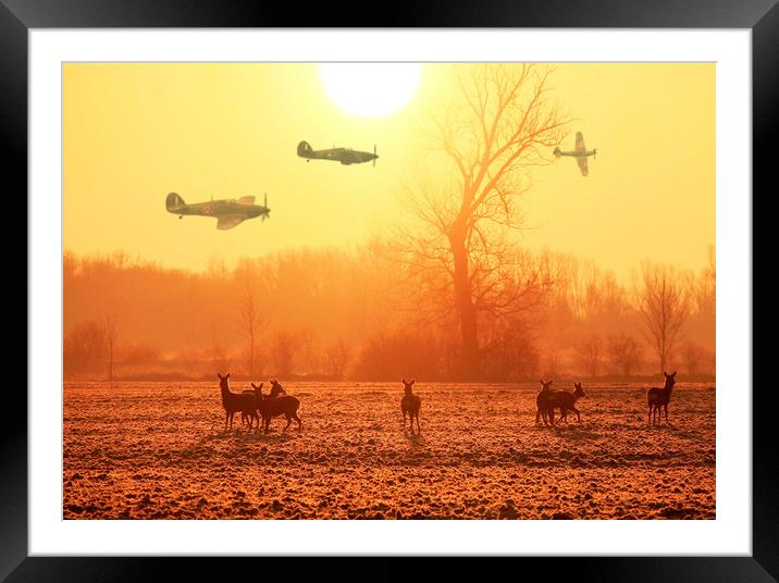 Buzzing the Deer Framed Mounted Print by Stephen Ward