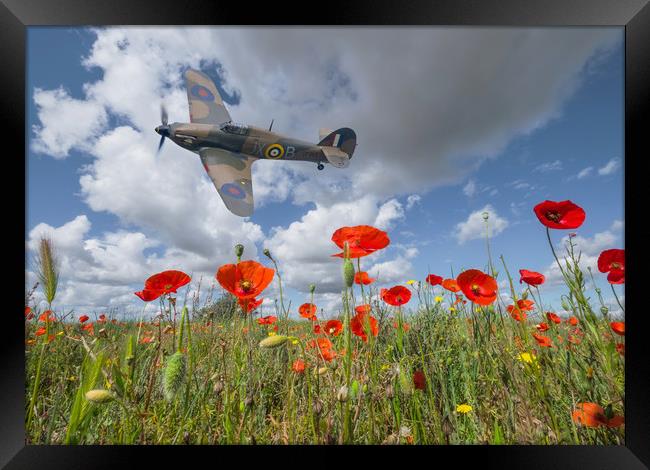 Getting low Framed Print by Stephen Ward