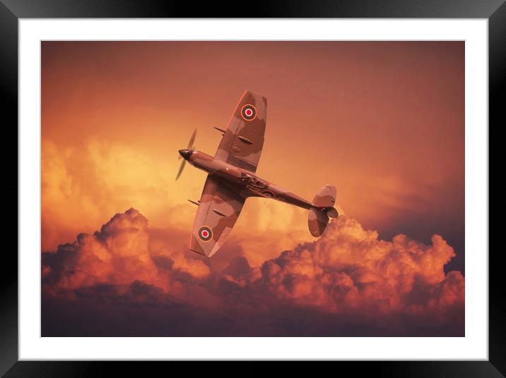 Free as a Bird Framed Mounted Print by Stephen Ward