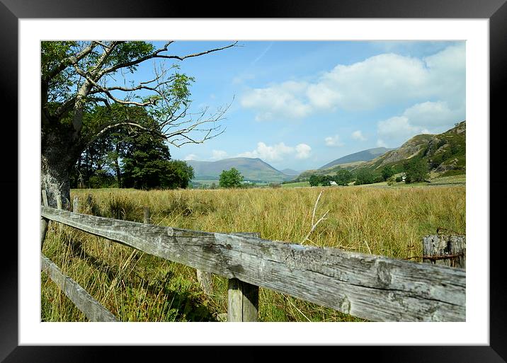  field of dreams lake district Framed Mounted Print by pristine_ images
