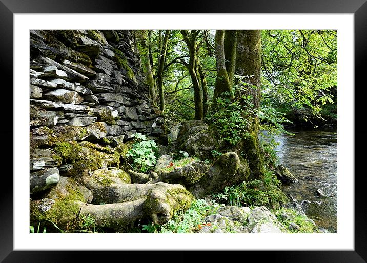  Follow the Stream Framed Mounted Print by pristine_ images