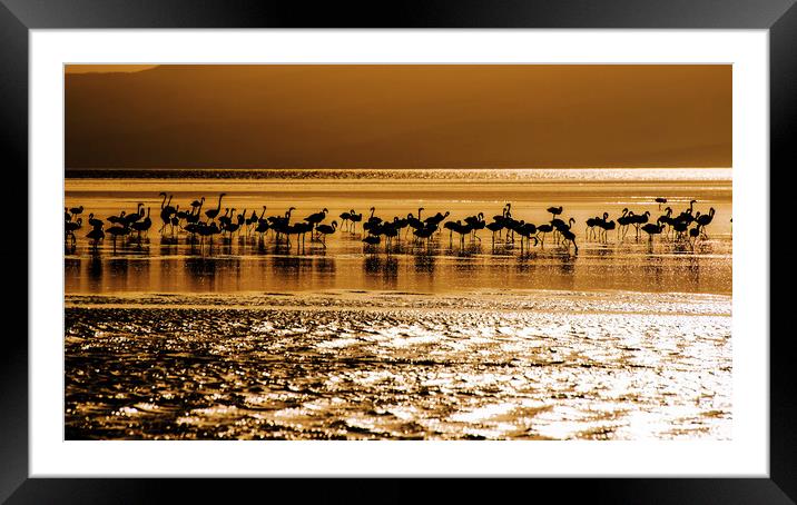 Lake Natron Framed Mounted Print by Luigi Scuderi