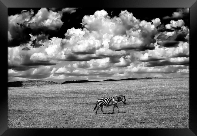 Serengeti sky Framed Print by Luigi Scuderi