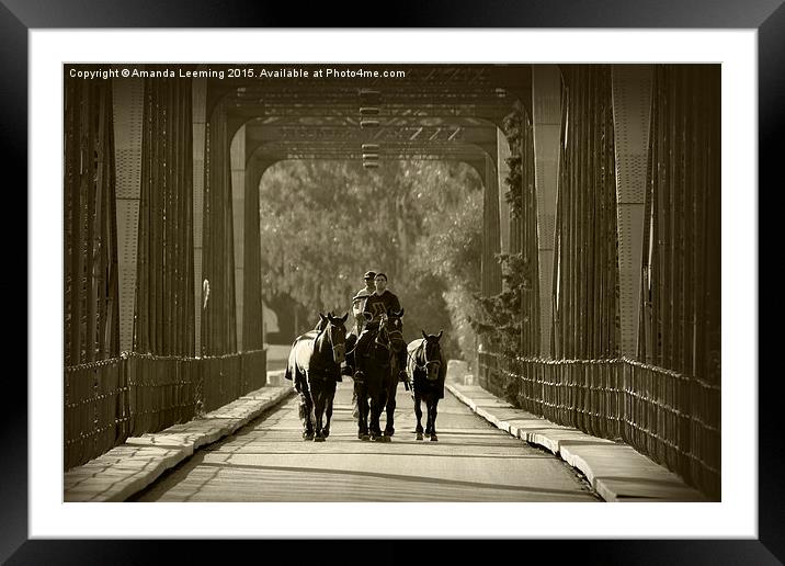  San Enrique Bridge  Framed Mounted Print by Amanda Leeming