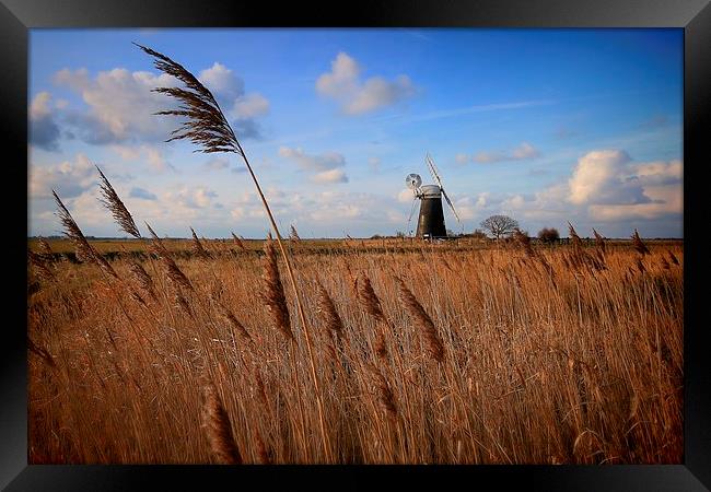  Mutton's Mill, Norfolk Framed Print by Broadland Photography