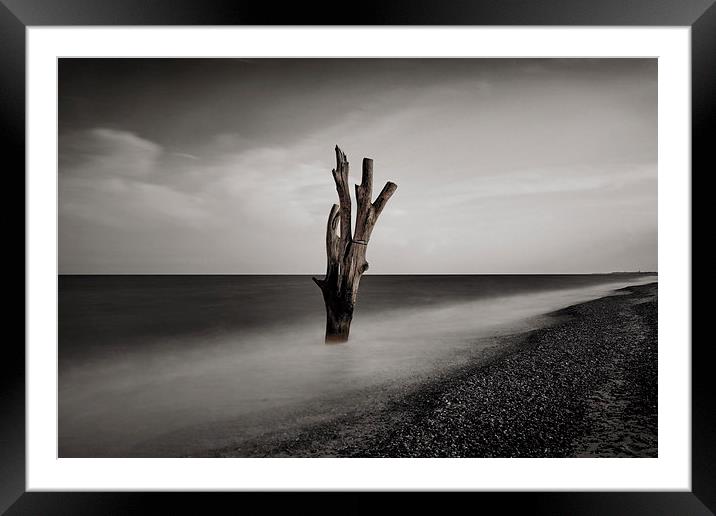  Tree in the Sea Framed Mounted Print by Broadland Photography