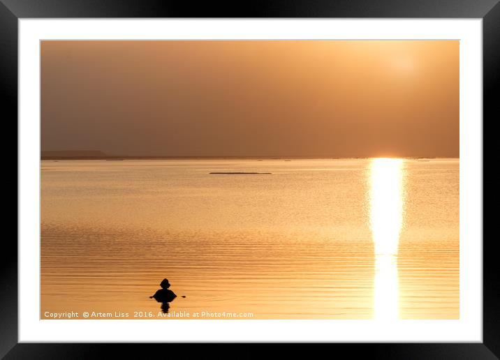 Bathing at Sunrise Framed Mounted Print by Artem Liss
