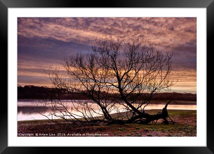 The Fallen Tree Framed Mounted Print by Artem Liss