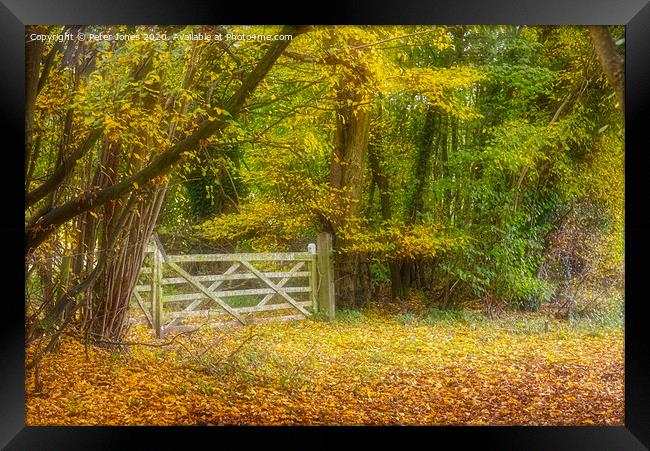 Early Autumn colours  Framed Print by Peter Jones