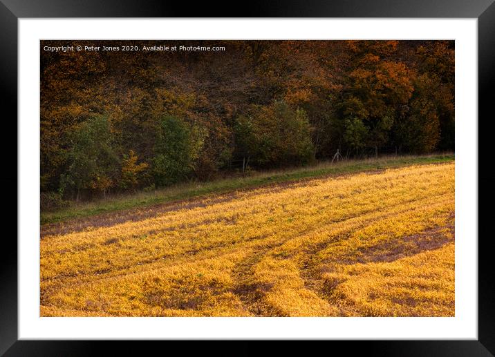 A field in Autumn. Framed Mounted Print by Peter Jones