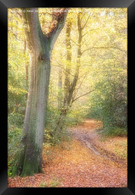 Autumnal Path Framed Print by Peter Jones