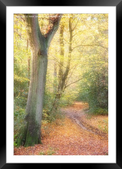 Autumnal Path Framed Mounted Print by Peter Jones