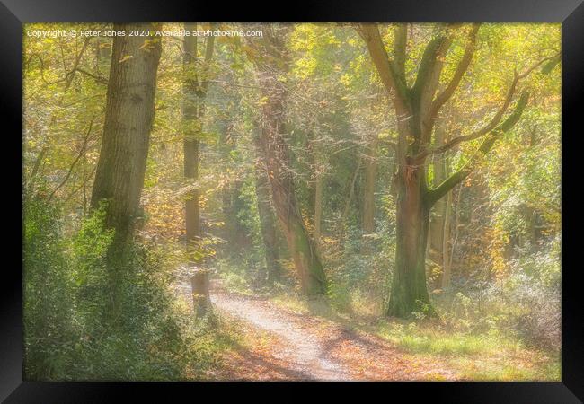 Autumn woodland path. Framed Print by Peter Jones