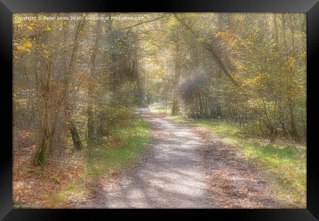 Autumnal woodland path. Framed Print by Peter Jones