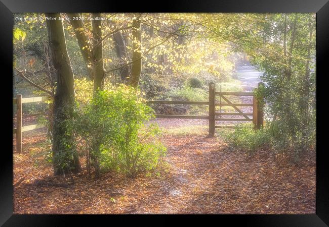 Autumn footpath Framed Print by Peter Jones