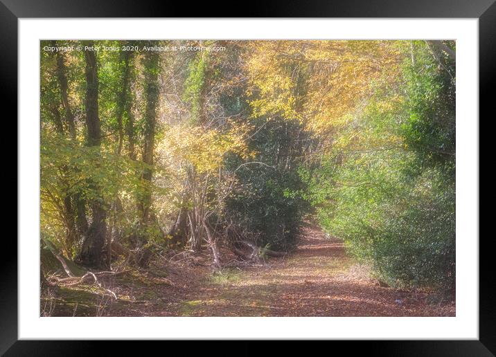 Autumn colours. Framed Mounted Print by Peter Jones