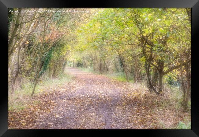 Autumn pathway. Framed Print by Peter Jones