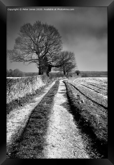 Chilterns footpath Framed Print by Peter Jones