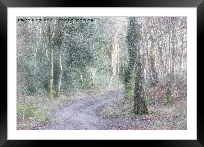 Woodland Path. Framed Mounted Print by Peter Jones