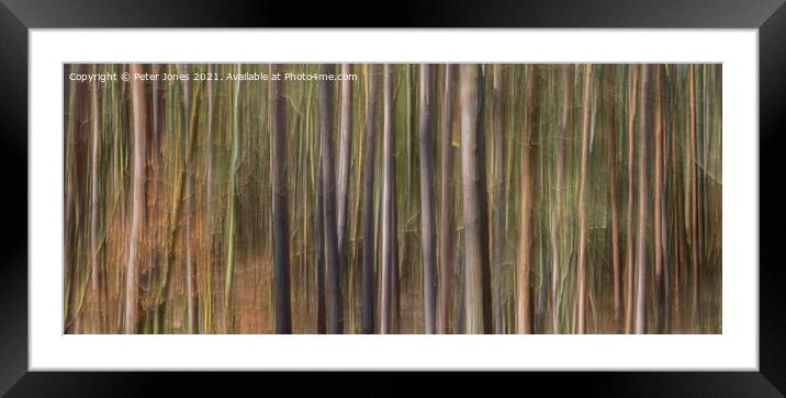 Abstract tall trees Framed Mounted Print by Peter Jones