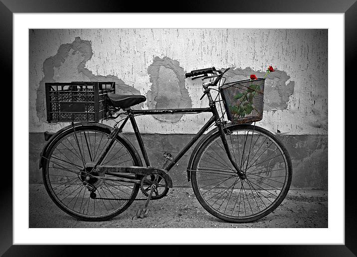 Red roses in basket of old rusty bicycle Framed Mounted Print by ken biggs