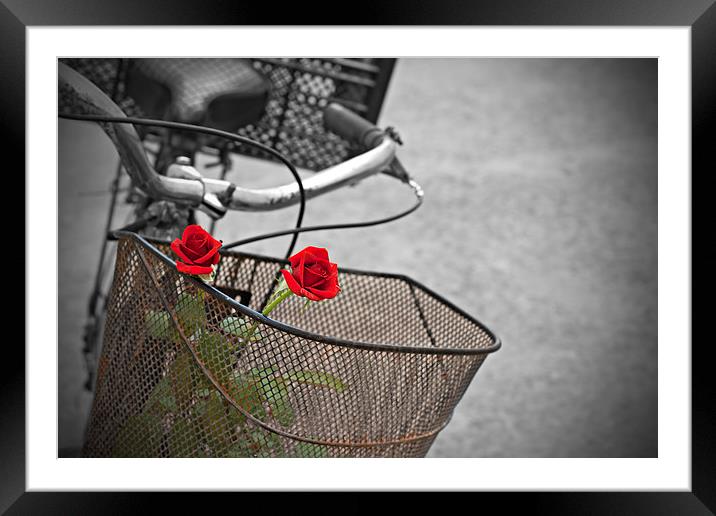 Red roses in basket of old rusty bicycle Framed Mounted Print by ken biggs