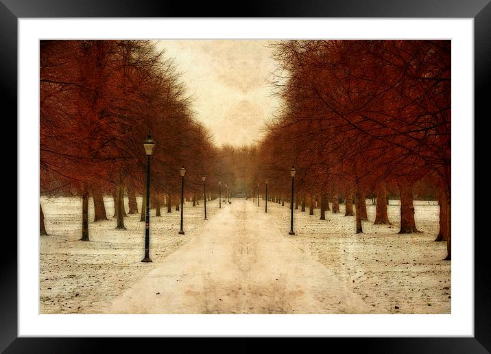 Vintage tree lined pathway through park in winter  Framed Mounted Print by ken biggs