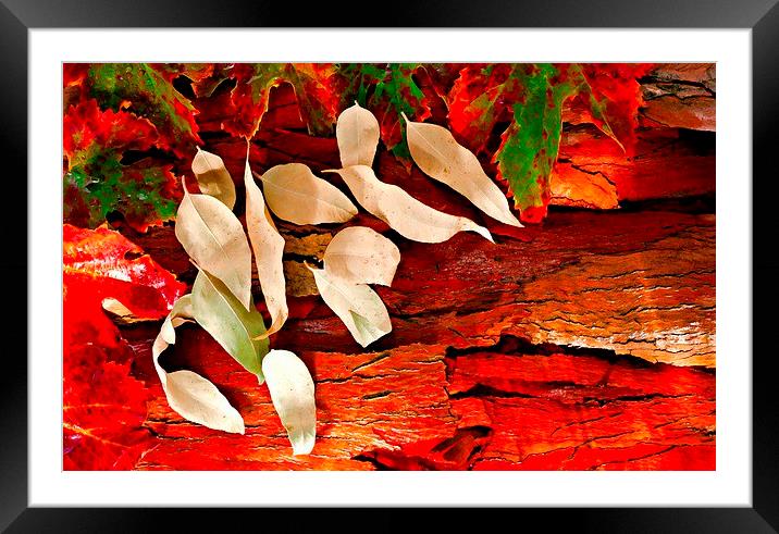 Colorful autumn leaves Framed Mounted Print by ken biggs