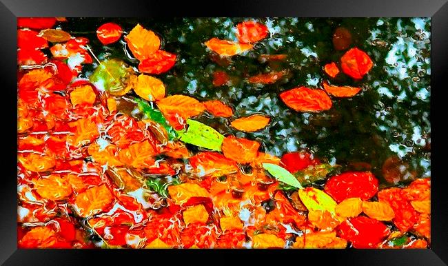 autumn leaves Framed Print by ken biggs