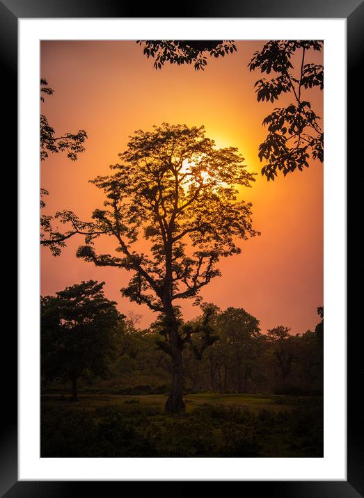 Sunset View at Chitwan National Park, Nepal Framed Mounted Print by Arun Satyal