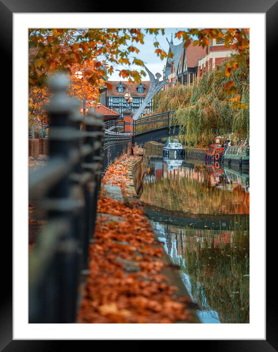 Autumn leaves on Waterside, Lincoln Framed Mounted Print by Andrew Scott