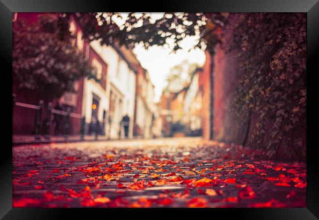 Autumn leaves, Steep Hill, Lincoln Framed Print by Andrew Scott
