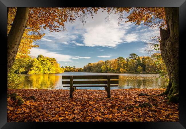 The Bench; Hartsholme Park, Lincoln Framed Print by Andrew Scott