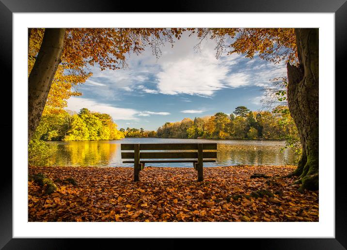 The Bench; Hartsholme Park, Lincoln Framed Mounted Print by Andrew Scott