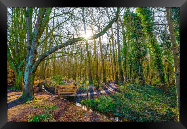 Sunrise at Hartsholme Country Park, Lincoln Framed Print by Andrew Scott