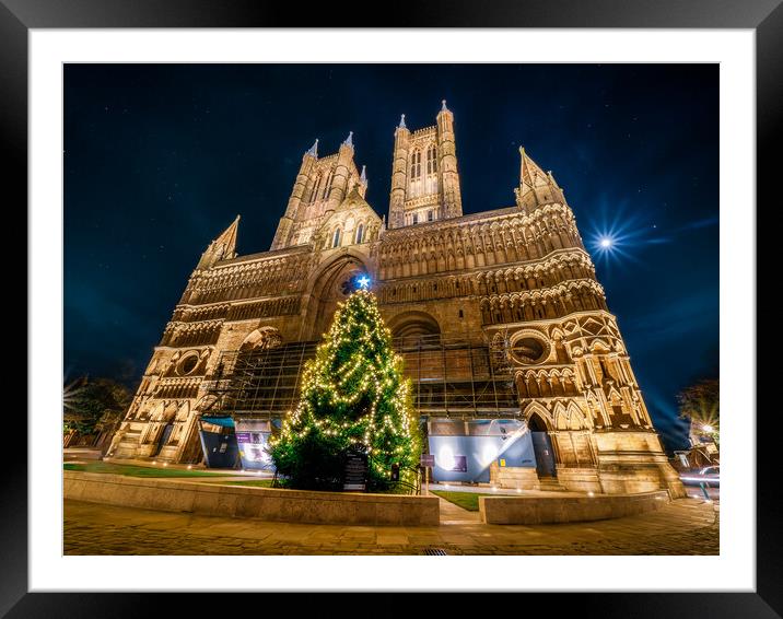Lincoln Cathedral and The St Barnabas Tree of Life Framed Mounted Print by Andrew Scott
